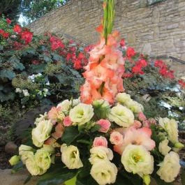 Remete-Pince Étterem, Vác - Étel/ital