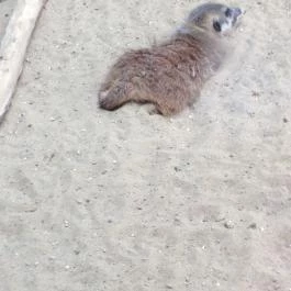 Bambara Hotel Felsőtárkány - Egyéb