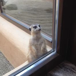 Bambara Hotel Felsőtárkány - Egyéb