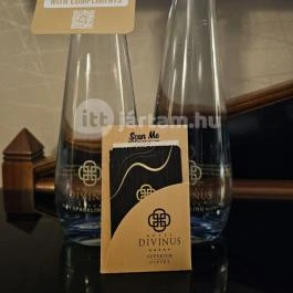Hotel Divinus, Debrecen - Egyéb