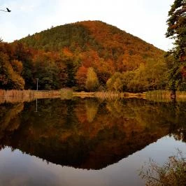 K?kapu Vadászkastély és Hotel & Apartments, Nagyhuta - Belső