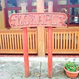 K?kapu Vadászkastély és Hotel & Apartments, Nagyhuta - Külső kép