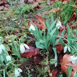 Hotel Arborétum Harkány - Környék