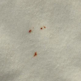 Silver Hotel, Hajdúszoboszló - Belső