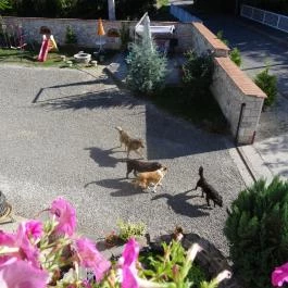 Bényei Fogadó és Étterem, Erdőbénye - Medence/kert