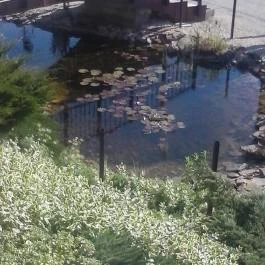 Hévíz Resort & Spa Cserszegtomaj - Környék