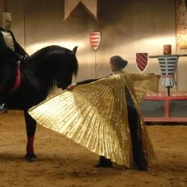 Hotel Kapitány Superior Wellness Sümeg - Környék