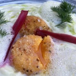 Boletus Bisztró, Budapest - Egyéb