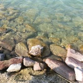 Hotel Móló Siófok - Környék