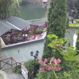 Hotel Tókert, Lillafüred - Medence/kert