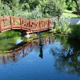 Hotel Vécsecity, Hernádvécse - Medence/kert