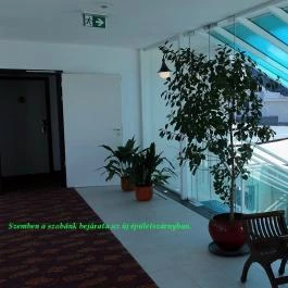 Liget Wellness & Konferencia Hotel , Szarvas - Belső