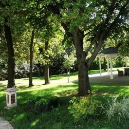 Liget Wellness & Konferencia Hotel , Szarvas - Környék