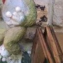 Garden Panzió Tahitótfalu - Egyéb