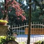 Garden Panzió Tahitótfalu - Egyéb