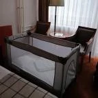 Silvanus Wellness & Konferencia Hotel Visegrád - Egyéb