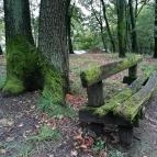 Silvanus Wellness & Konferencia Hotel Visegrád - Egyéb