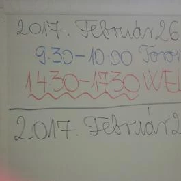 Wellness Hotel Balaton Fonyód - Egyéb