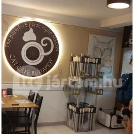 Cat Café - Révay utca Budapest - Egyéb