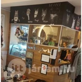 Cat Café - Révay utca Budapest - Egyéb
