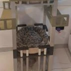 Cat Café - Révay utca Budapest - Egyéb