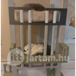 Cat Café - Révay utca Budapest - Egyéb