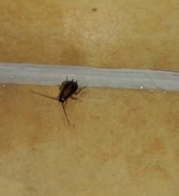 Club Mendan Apartmanház