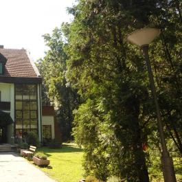 Fenyves Hotel Békéscsaba - Medence/kert