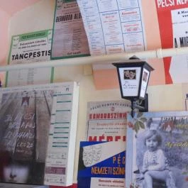 Hotel Aranyhajó Pécs - Egyéb