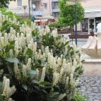 Pannon Hotel Hévíz - Környék