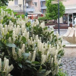 Pannon Hotel , Hévíz - Környék