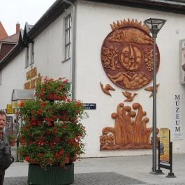 Pannon Hotel , Hévíz - Környék