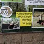 Magán Zoo Felsőlajos - Egyéb