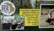 Magán Zoo Felsőlajos - Egyéb