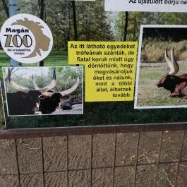 Magán Zoo Felsőlajos - Egyéb