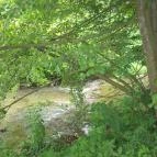 Erzsébet Park Hotel Parádfürdő - Medence/kert