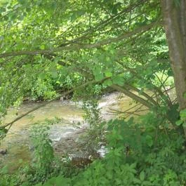 Erzsébet Park Hotel, Parádfürdő - Medence/kert