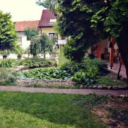 Violetta Vendégház, Eger - Környék