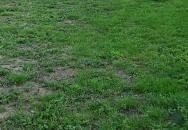 Kékkút Cottage Nagyvisnyó