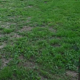 Kékkút Cottage Nagyvisnyó - Egyéb