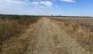 Begécsi-Víztározó, Biharugra