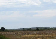 Begécsi-Víztározó Biharugra