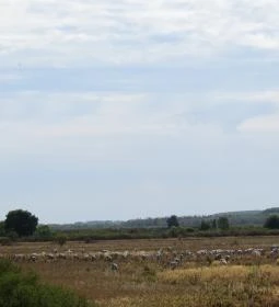 Begécsi-Víztározó