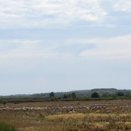 Begécsi-Víztározó Biharugra - Külső kép