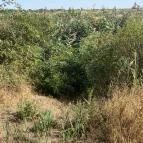 Begécsi-Víztározó Biharugra - Külső kép