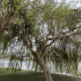 Hunguest Hotel Freya, Zalakaros - Környék