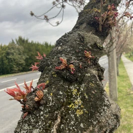 Hunguest Hotel Freya, Zalakaros - Külső kép