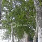 BF Hotel Balatonföldvár - Környék