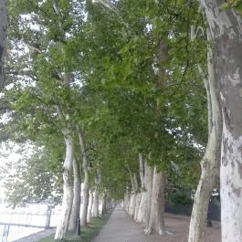 BF Hotel, Balatonföldvár - Környék