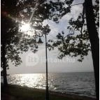 BF Hotel Balatonföldvár - Környék